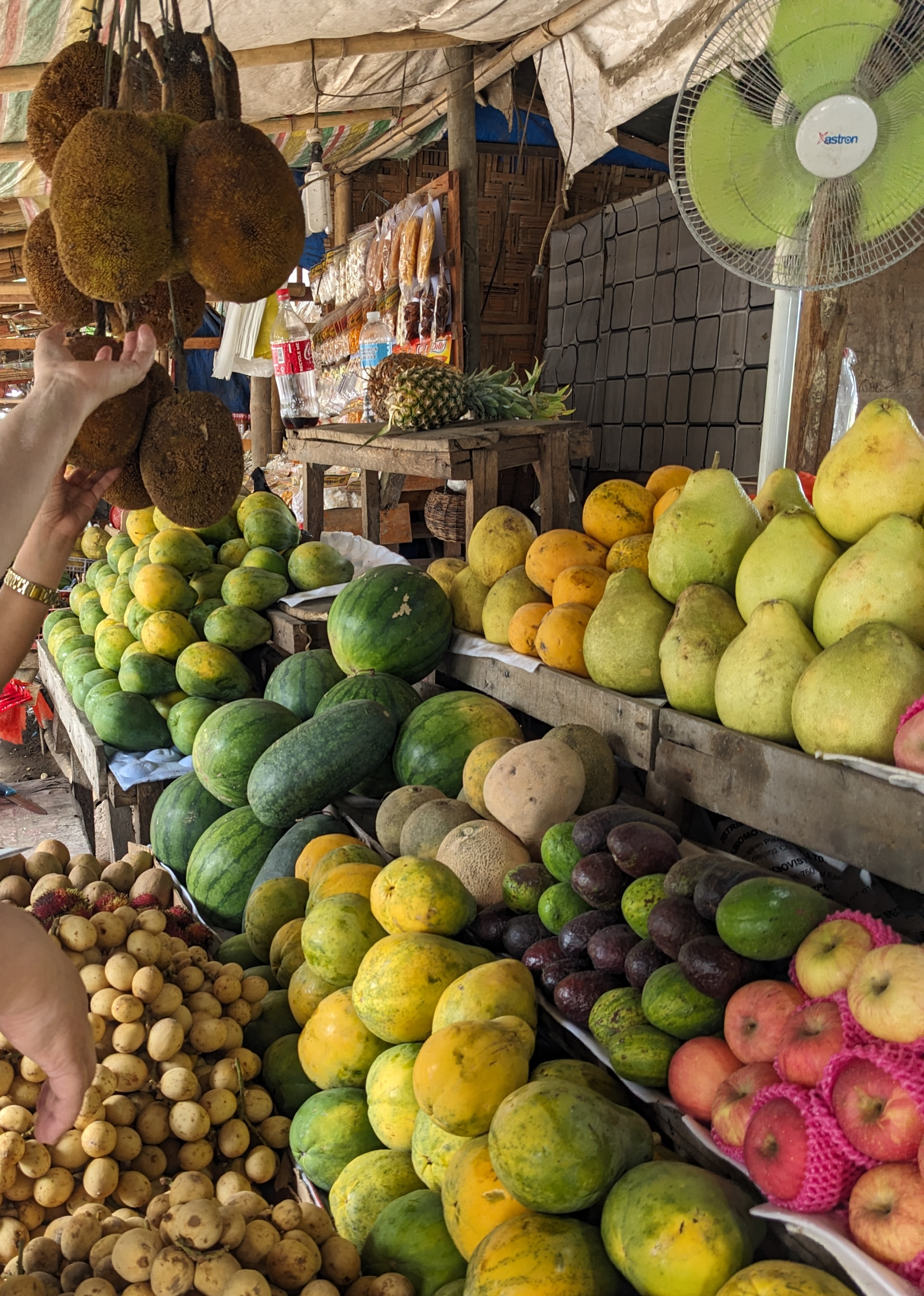 Mindanao – Gen San & Tupi